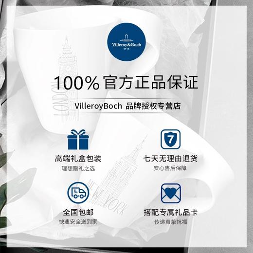 Villeroy&Boch 德国唯宝摩登都会-城市马克杯-上海 商品图4
