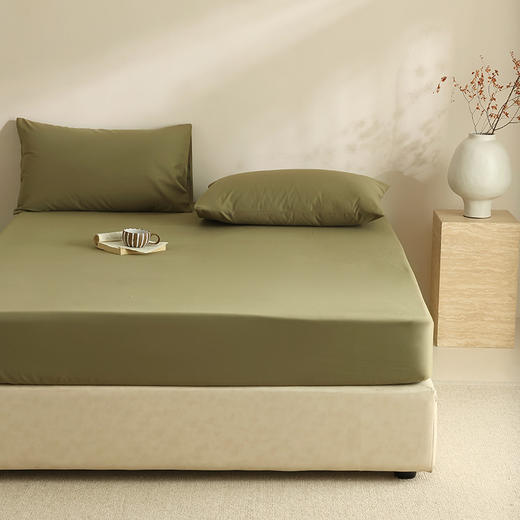 【100支全棉单品磨毛床笠】100支全棉单品磨毛床笠纯色中厚长绒棉床罩秋冬保暖 商品图2