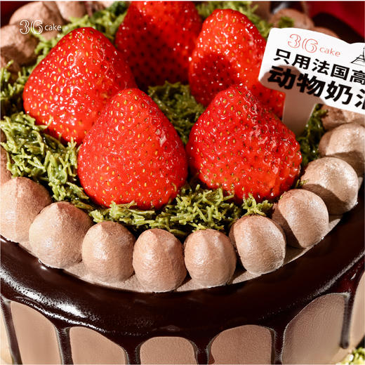 迪拜巧克力莓莓，可选1.5/2.5磅 商品图1