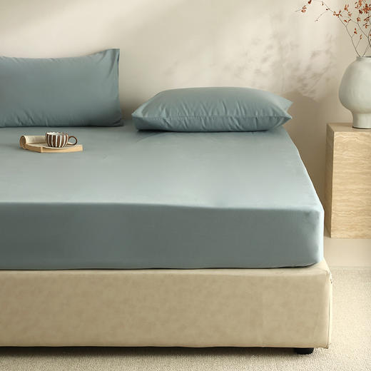 【100支全棉单品磨毛床笠】100支全棉单品磨毛床笠纯色中厚长绒棉床罩秋冬保暖 商品图10