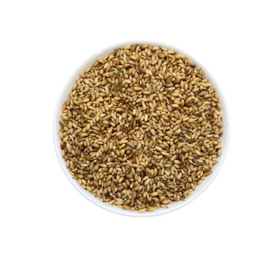 柏子仁 常用规格 净柏子仁 商品图4