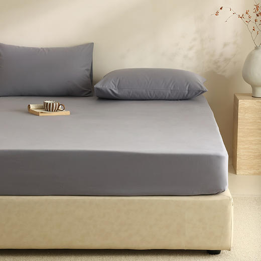 【100支全棉单品磨毛床笠】100支全棉单品磨毛床笠纯色中厚长绒棉床罩秋冬保暖 商品图3