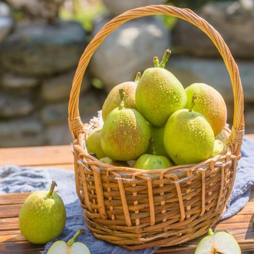库尔勒香梨 香甜水嫩 口口爆汁  皮薄无渣  肉质细白  质地酥脆 商品图5