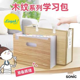 日本SONIC索尼克试卷资料分类索引收纳手提式文件包