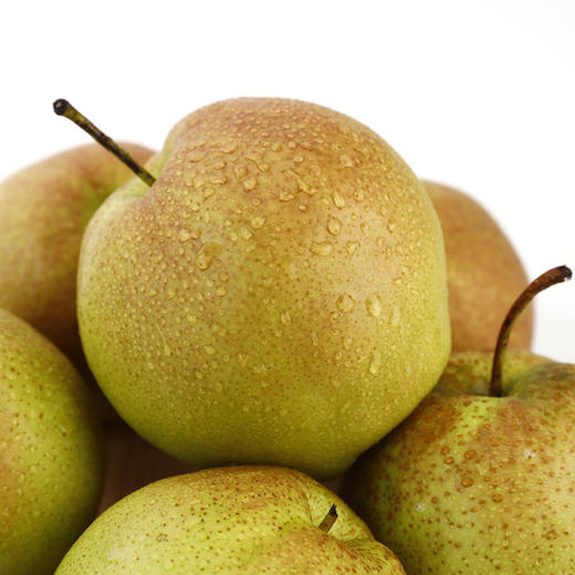 山西隰县玉露香梨9个礼盒装2.5kg 商品图3