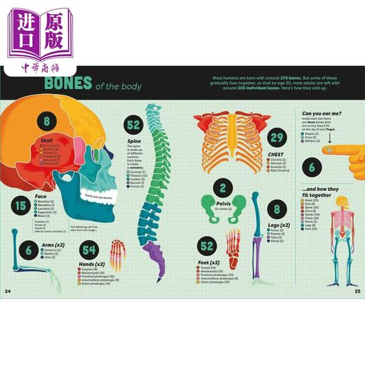 预售 【中商原版】尤斯伯恩大本书 科普大全书 Big Book of Facts 英文原版 儿童科普绘本 自然科学读物 精装进口童书 Usborne 商品图2