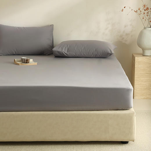 【100支全棉单品磨毛床笠】100支全棉单品磨毛床笠纯色中厚长绒棉床罩秋冬保暖 商品图14