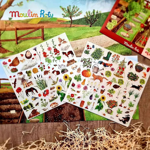 Moulin Roty 植物学家主题 转印贴 适合三岁以上 转印效果极佳 法国品牌- 712430 商品图3