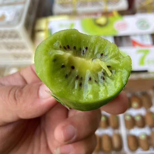 7不够修文猕猴桃 商品图3