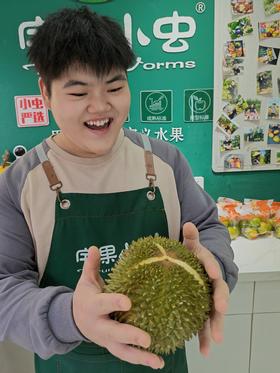 小虫：韩小胖