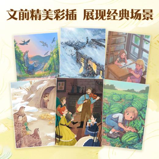 国际儿童文学经典·国际大奖系列（套装6册） 商品图3