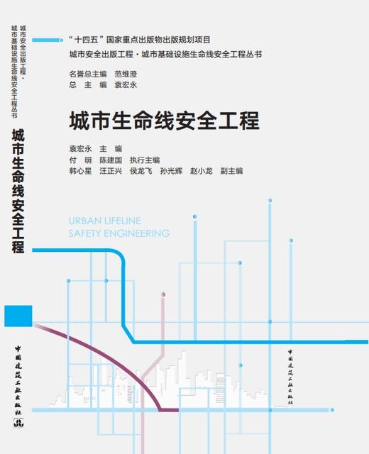 城市生命线安全工程 商品图0