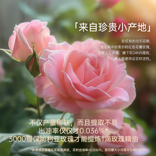 【双12大促】嘉媚乐小产地玫瑰精油  娇嫩赋活  补水保湿锁水 商品图1
