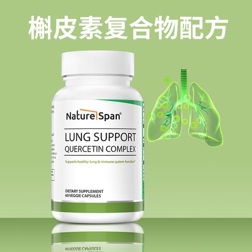 Nature Span槲皮素维生素C肺部胶囊 美国原装进口60粒 商品图5