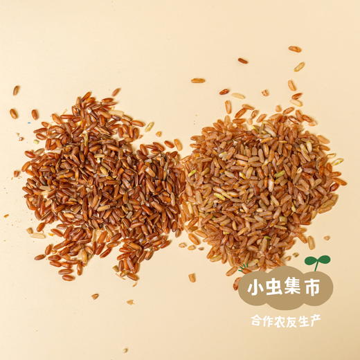 生态老品种红籼米 5斤（红米）| 合作农友生产，产自贵州贵阳高坡，生产者：杨婧懿 *【公平贸易农人定价】 商品图10