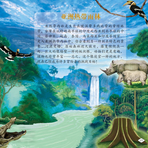 《画给孩子的自然通识课》(全15册) 商品图10