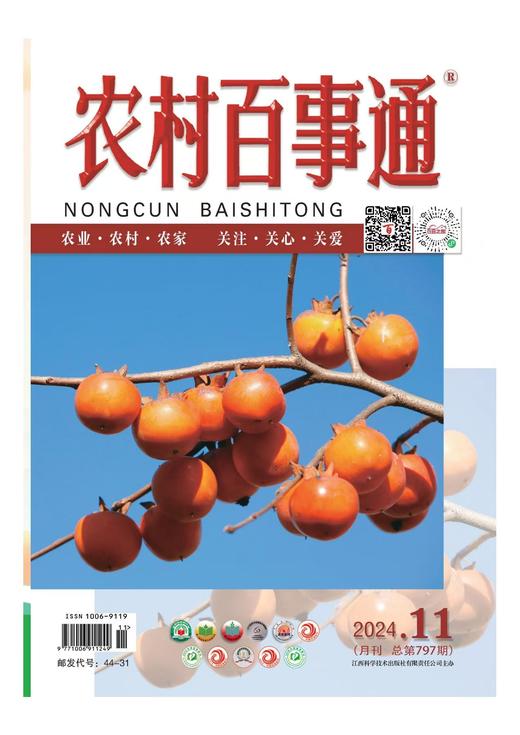 2025年《农村百事通》全年订阅12本（每两期一发） 商品图1