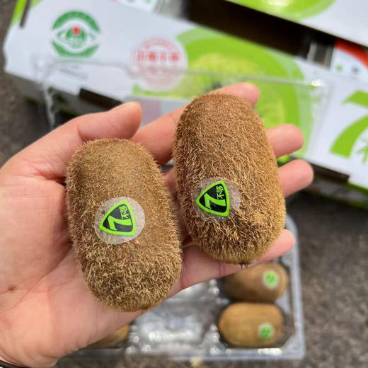 7不够修文猕猴桃 商品图2