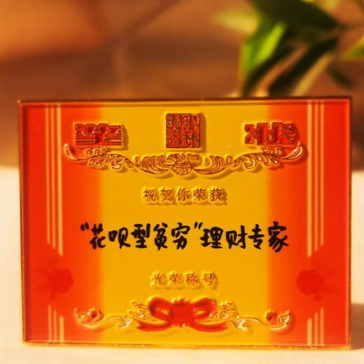 小林漫画 周边  冰箱贴 钥匙扣挂件 奖状 犒劳辛苦奋斗的我们 商品图12