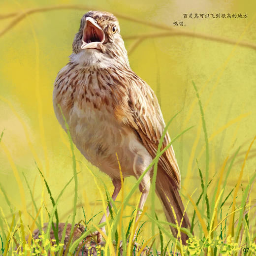 《画给孩子的自然通识课》(全15册) 商品图4