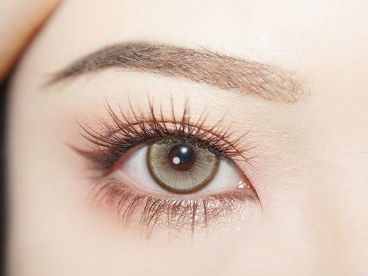 serltyca 沙滩印记棕 日抛 6片 14.2mm 参考着色 13.5mm 基弧 8.6 含水 55% 韩国进口 商品图2