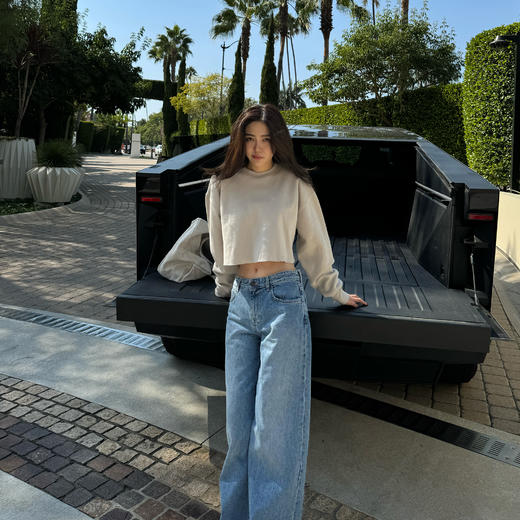 ROMI STUDIO“松弛纽约”甄选棉混纺内加绒廓形短卫衣 RW24ASG0360 商品图0