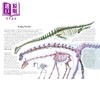 【中商原版】令人惊叹的动物进化 Awesome Animal Evolution Discover the Greatest Success Stories 英文原版 儿童科普读物 商品缩略图2
