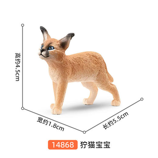 思乐 狞猫宝宝SCHC14868 商品图1