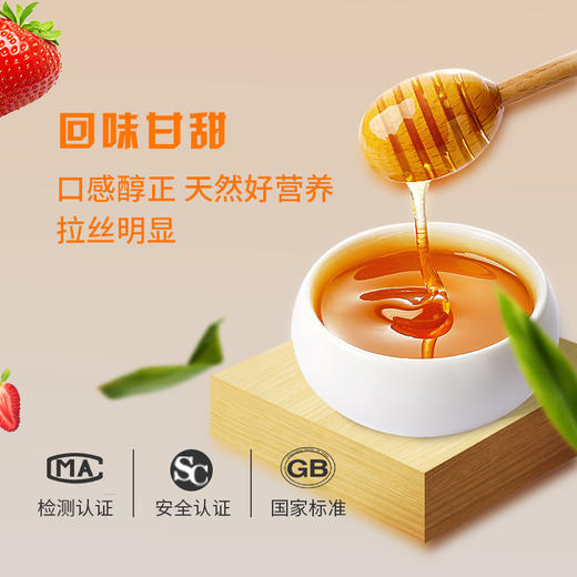 神农蜂语紫云英蜜500g 商品图2