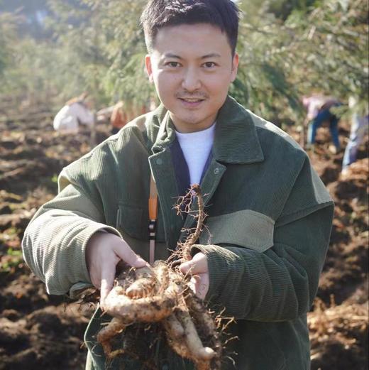 【斌哥优选】有机雪山云端山药。冰淇淋般软糯，生长在2300米海拔的夹金山上。连续9年通过有机认证。 商品图1