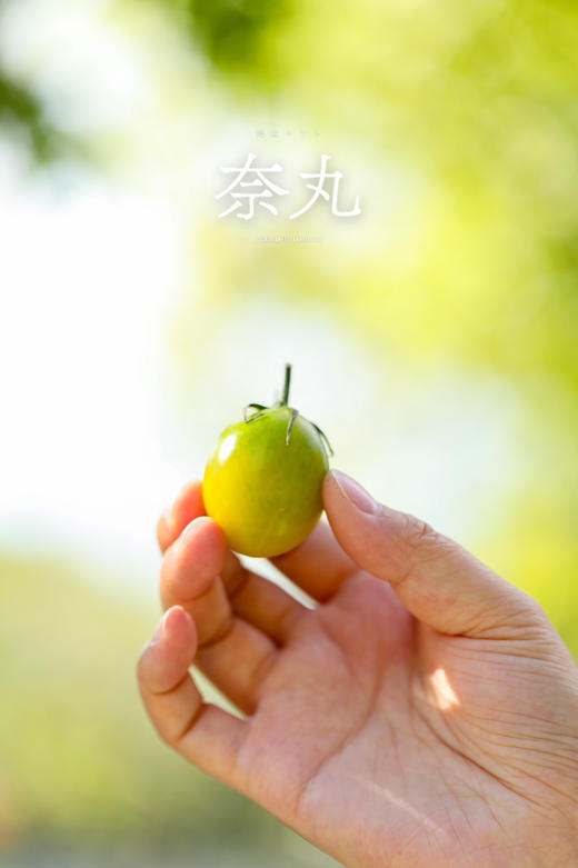 爆汁浓郁｜高原小青番 商品图3