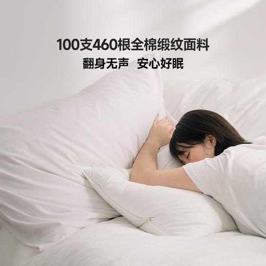 伽罗 JALO 鹅绒枕 商品图3