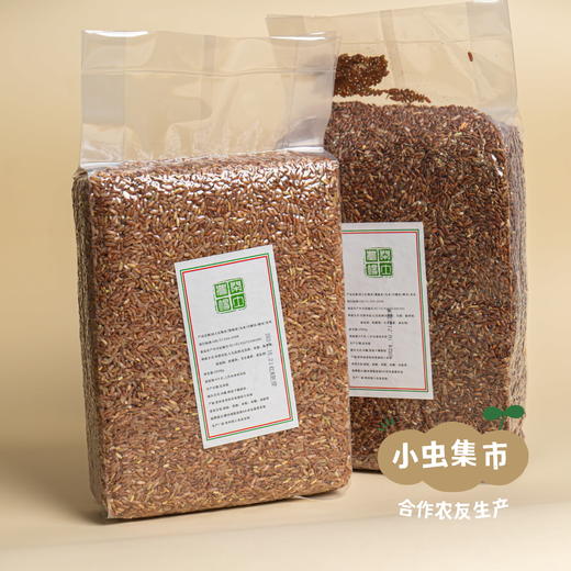 生态老品种红籼米 5斤（红米）| 合作农友生产，产自贵州贵阳高坡，生产者：杨婧懿 *【公平贸易农人定价】 商品图4