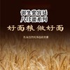 疯抢！！【 416年传承！御生堂宫廷八珍面 】八珍入膳 草本健康 口感爽滑 细腻Q弹 0添加  营养早午晚餐 老少皆宜 精美礼盒10盒/箱 商品缩略图1