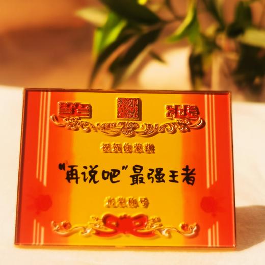 小林漫画 周边  冰箱贴 钥匙扣挂件 奖状 犒劳辛苦奋斗的我们 商品图6