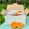 涌泉蜜桔|蜜桔🍊还得是中国无核蜜桔之乡的涌泉蜜桔😍涌泉蜜桔的名气，自然是不必多说了爆甜多汁，“懒人福音”——无核的果肉比布丁更嫩、更甜！是柑桔党心中当之无愧的「桔中仙品」～一年只有一批，季节限定！ 商品缩略图8