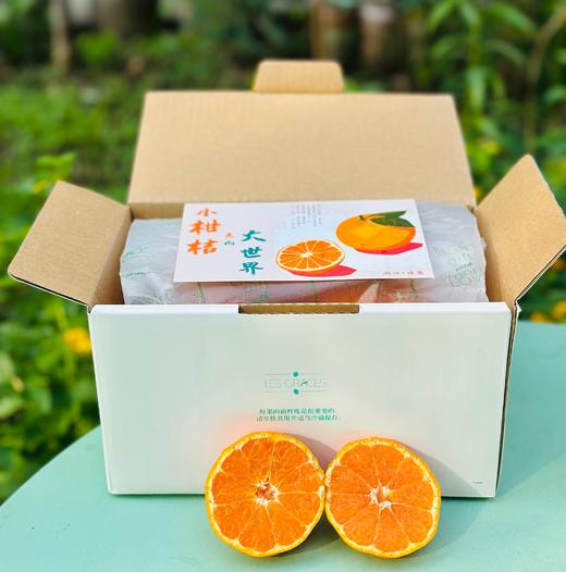 涌泉蜜桔|蜜桔🍊还得是中国无核蜜桔之乡的涌泉蜜桔😍涌泉蜜桔的名气，自然是不必多说了爆甜多汁，“懒人福音”——无核的果肉比布丁更嫩、更甜！是柑桔党心中当之无愧的「桔中仙品」～一年只有一批，季节限定！ 商品图8