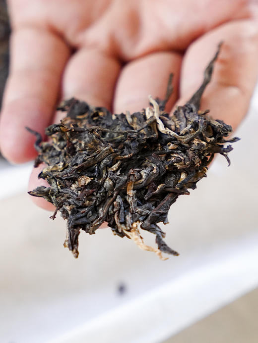 【不足10饼】福利分享【掌柜珍藏-班章孔雀】2015年古掌柜自己自存的茶饼 勐海干仓存贮10年老茶，357g/饼 数量有限，成本价分享！拍5发6 商品图1