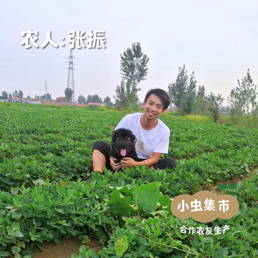 生态花生米 2袋 | 合作农友生产，产自河北唐山，生产者：张振*【公平贸易农人定价】 商品图6