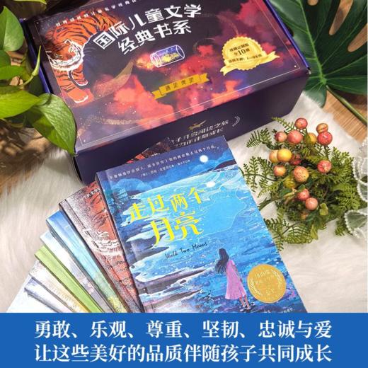 国际儿童文学经典书系-遇见虎灵（全10册） 商品图2
