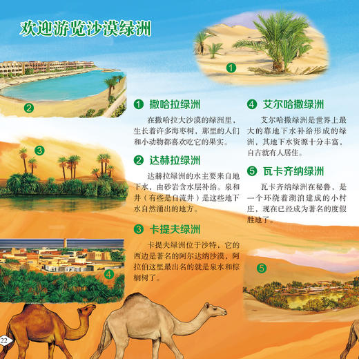 《画给孩子的自然通识课》(全15册) 商品图7