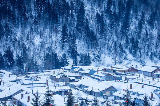 东北“冰雪王国”丨雪乡童话世界、梦幻雾凇岛、“雪域仙境”四方顶子、镜泊湖冰瀑、小众铁路小镇、东北虎雪地捕食、哈尔滨冰雪大世界8天纯玩团 商品图11
