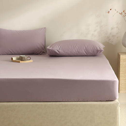 【100支全棉单品磨毛床笠】100支全棉单品磨毛床笠纯色中厚长绒棉床罩秋冬保暖 商品图12