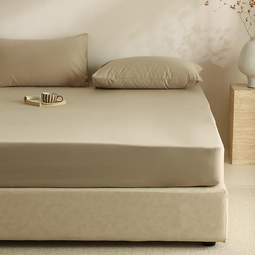 【100支全棉单品磨毛床笠】100支全棉单品磨毛床笠纯色中厚长绒棉床罩秋冬保暖 商品图5