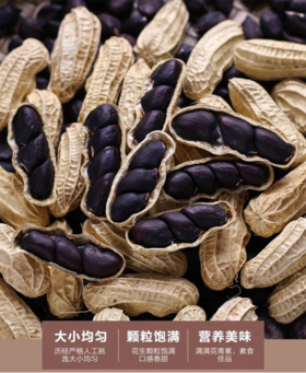 😎【富硒黑皮干花生/富硒黑皮熟花生】🌟散落的“黑珍珠”高花青素➕富硒，🉐一颗顶十颗❗️ 🌸非转基因，11年杂交选育，🤩持证上岗的富硒黑皮花生，🎈名副其实的长寿果～ 