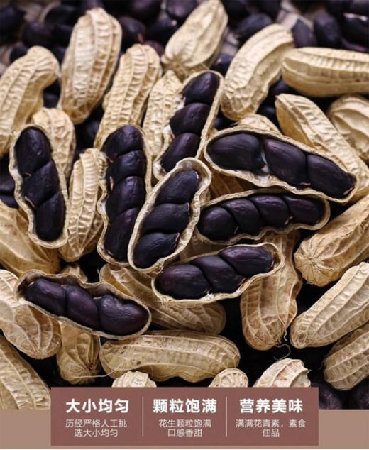 😎【富硒黑皮干花生/富硒黑皮熟花生】🌟散落的“黑珍珠”高花青素➕富硒，🉐一颗顶十颗❗️ 🌸非转基因，11年杂交选育，🤩持证上岗的富硒黑皮花生，🎈名副其实的长寿果～  商品图0