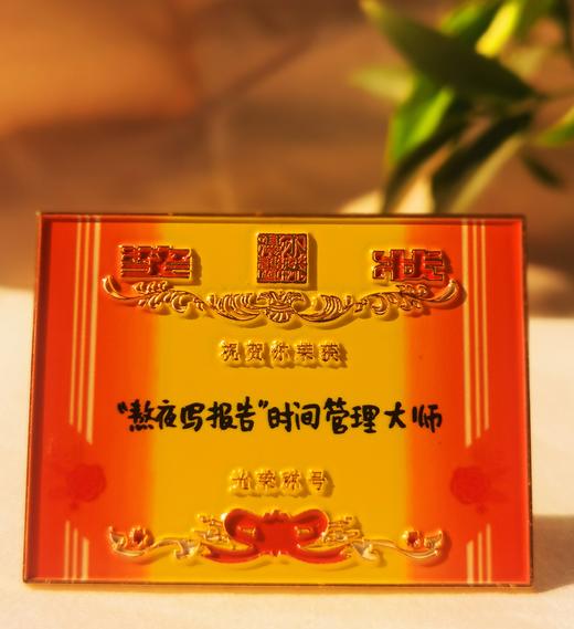 小林漫画 周边  冰箱贴 钥匙扣挂件 奖状 犒劳辛苦奋斗的我们 商品图14