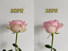 鲜花保护瓣要不要摘?