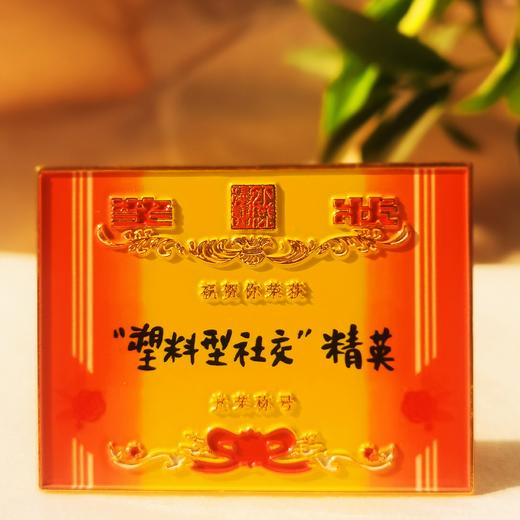 小林漫画 周边  冰箱贴 钥匙扣挂件 奖状 犒劳辛苦奋斗的我们 商品图4