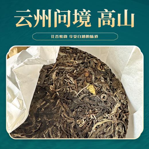 云南 云州问境 高山 古树普洱 生茶 紧压茶 357克 商品图1